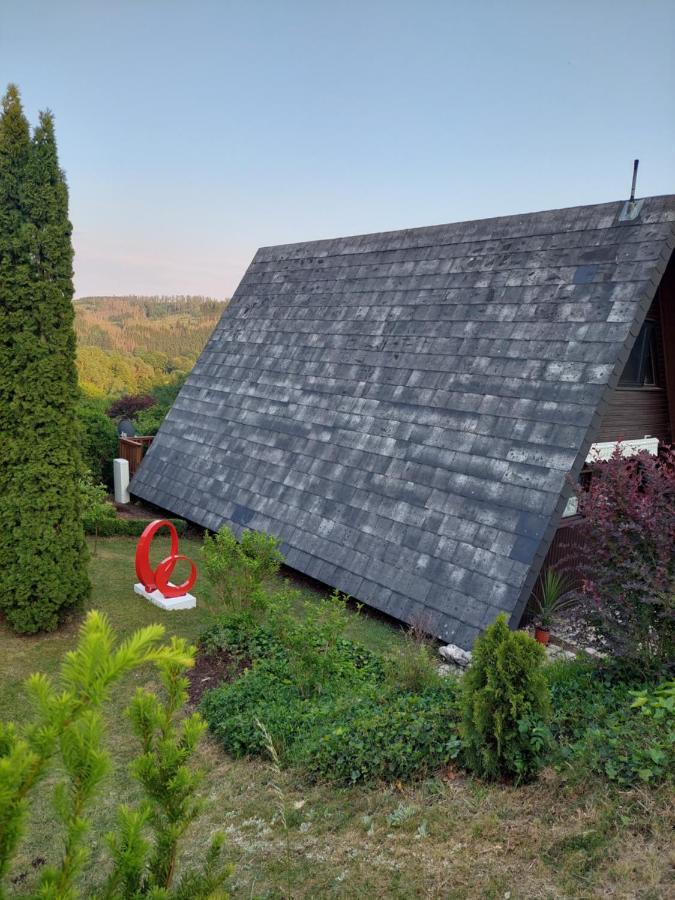 Haus Am See Willingen 빌링겐 외부 사진