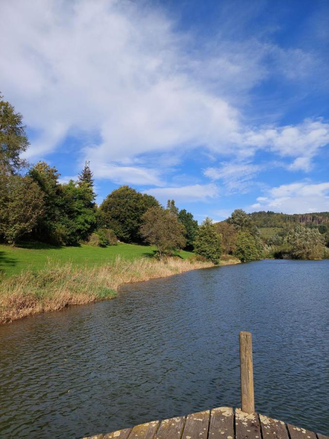 Haus Am See Willingen 빌링겐 외부 사진